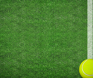 artificial grass sm artificial grass sm