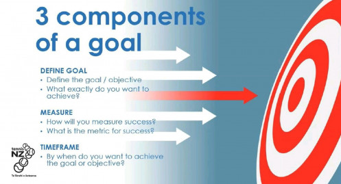 Components of a goal v2